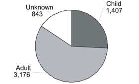 piegraph_2007_casage.gif